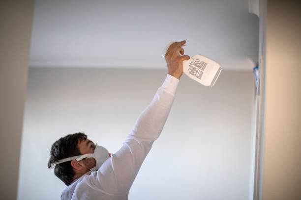 Best Residential Mold Removal  in Palo Cedro, CA